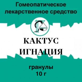Кактус Игнация