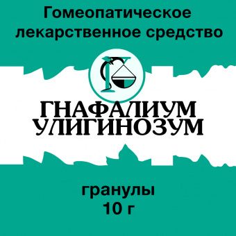 Гнафалиум улигинозум